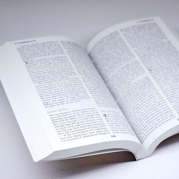The Message | Biblija v sodobni angleščini - Image 6