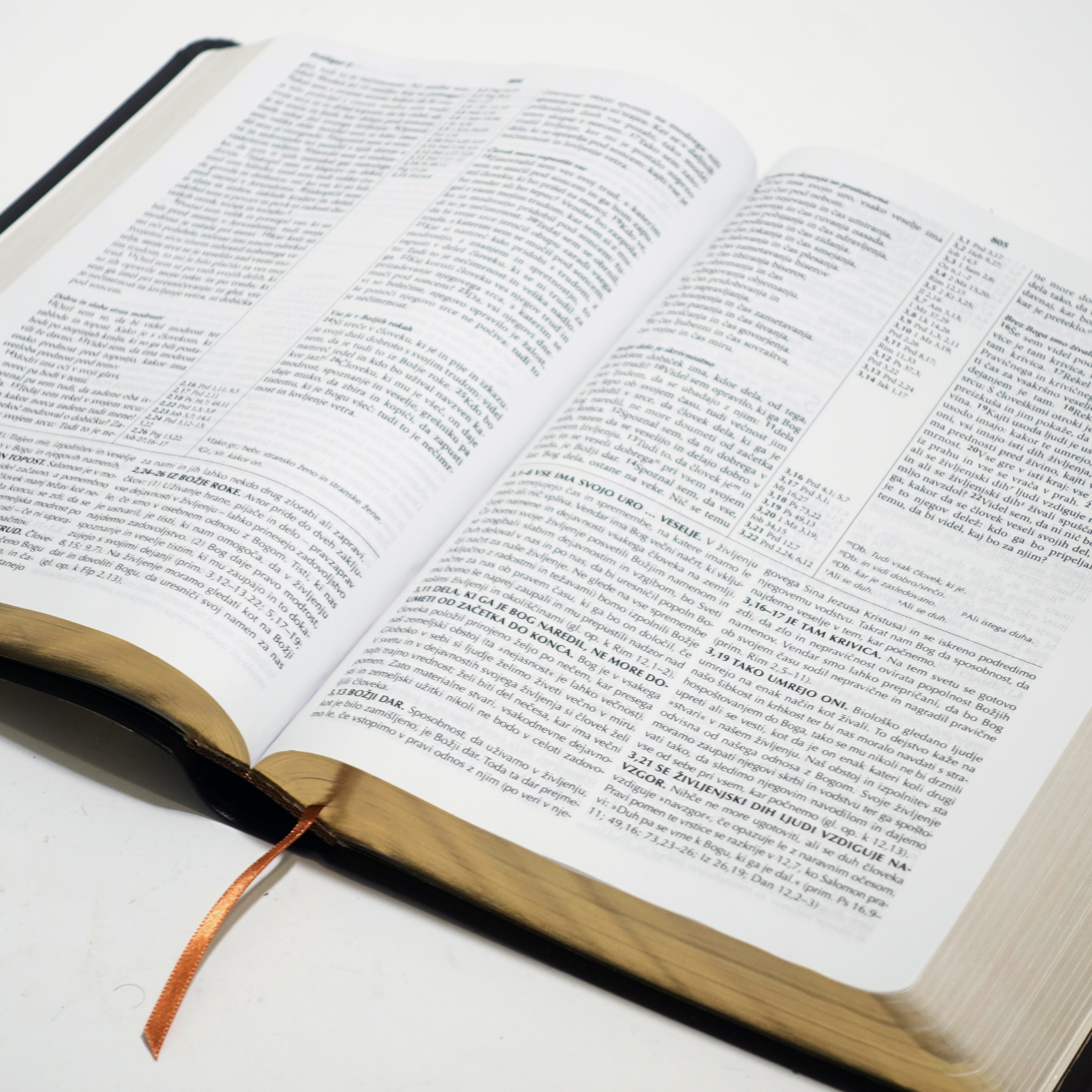 Sveto pismo Plus (Fire Bible) - slika 2