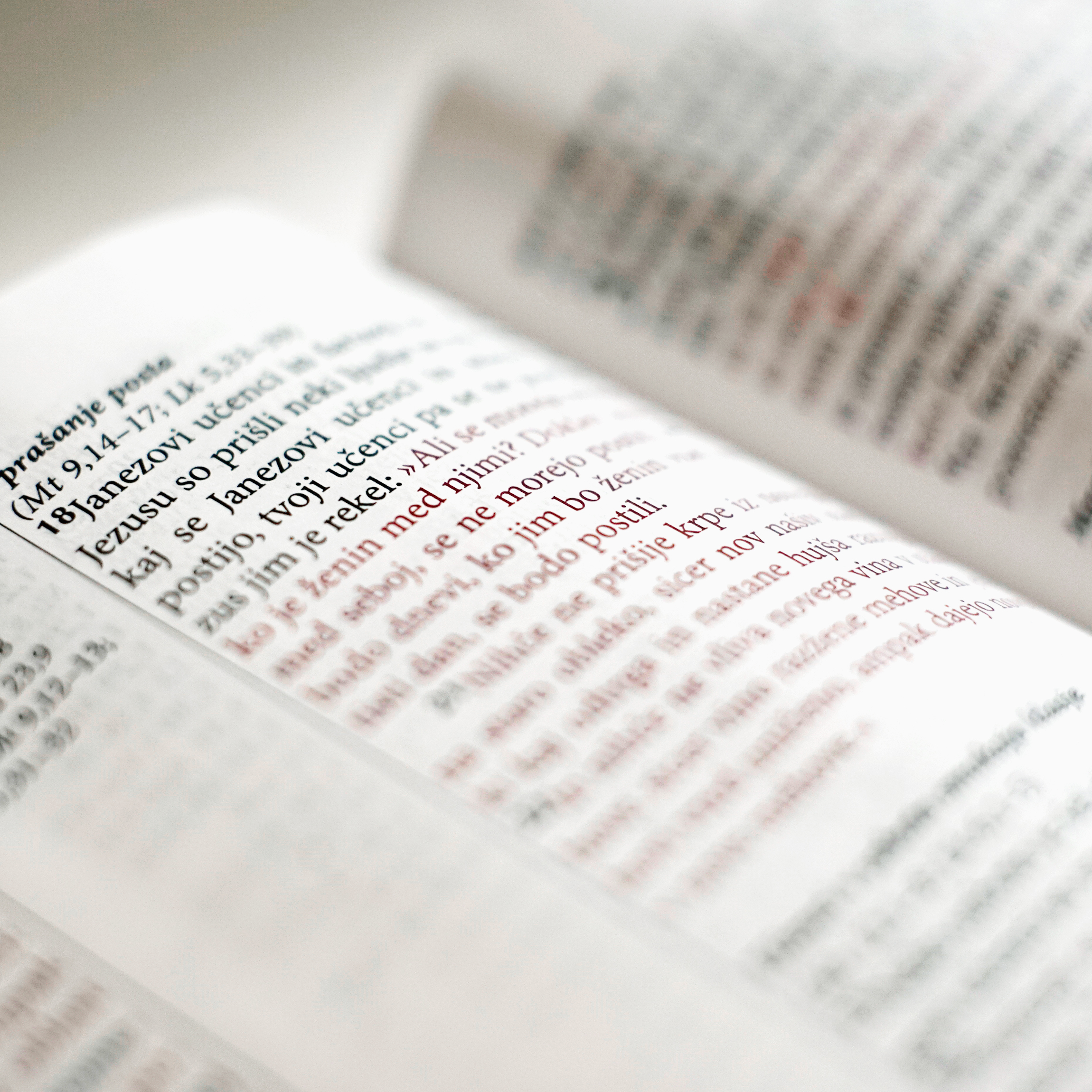 Sveto pismo Plus (Fire Bible) - slika 7